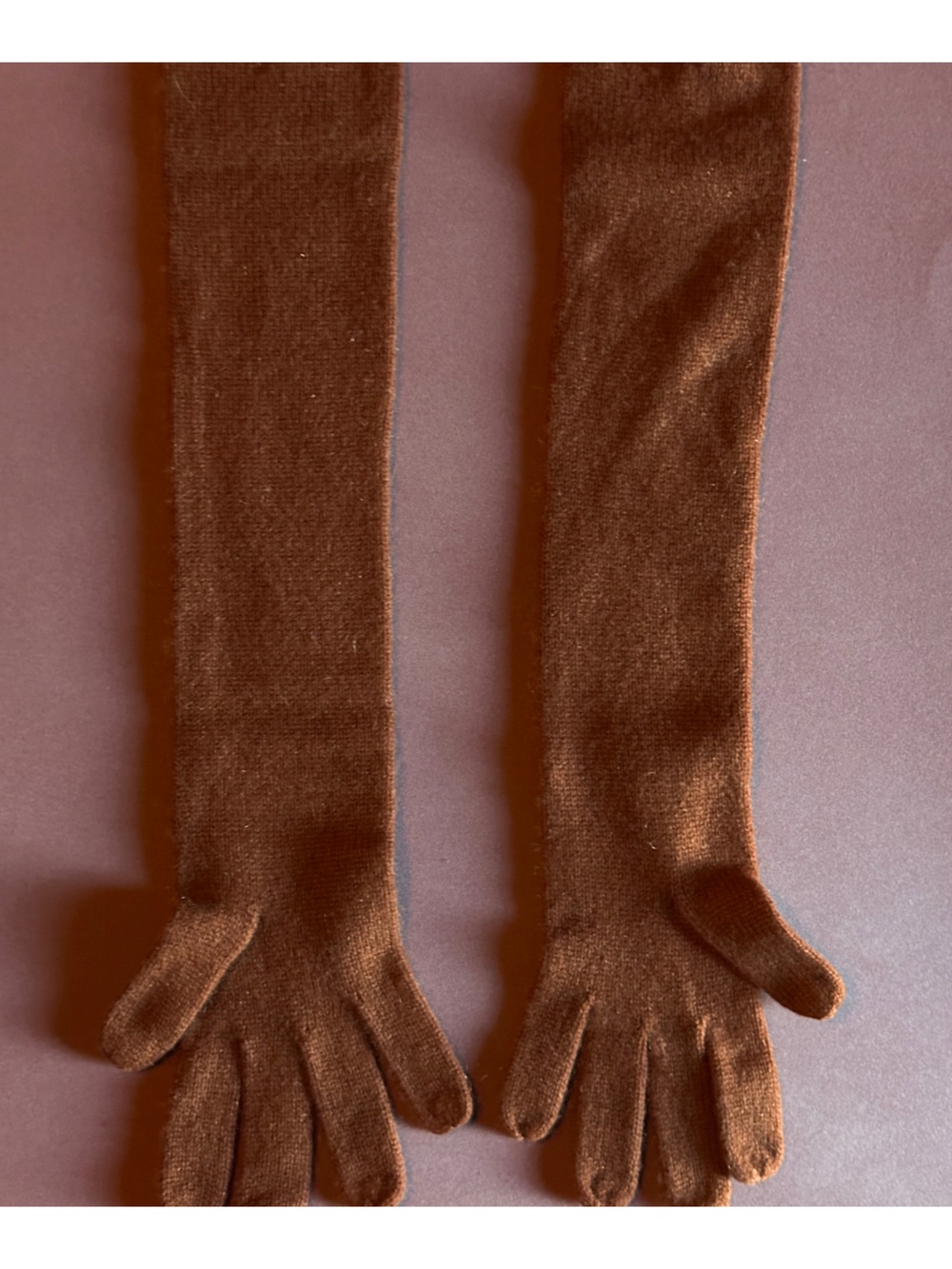 Portolano 100% Cashmere Long Gloves - Picture 4 of 8